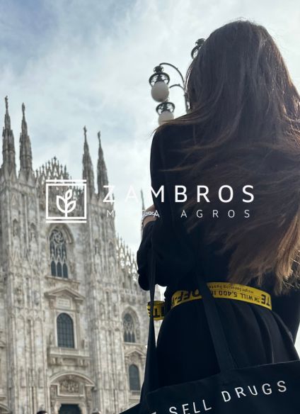 cbd a milano consegna veloce spedizione rapida