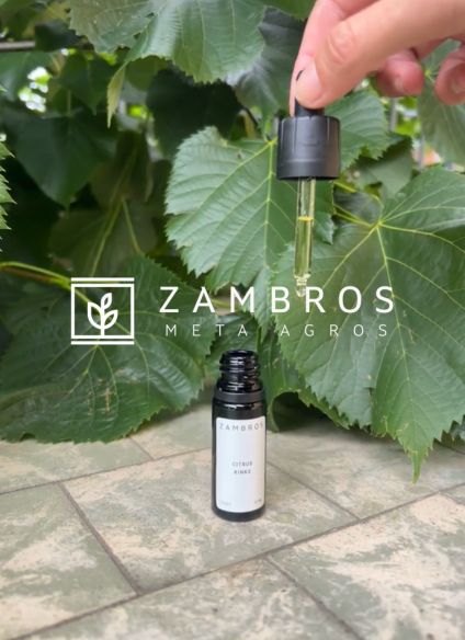 olio di cannabis cbd cannabidiolo scoperte scientifiche