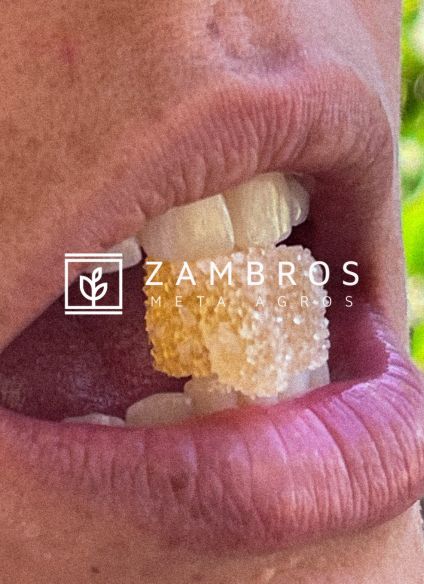 Caramelle CBD con zero contenuto di THC a Milano e Monza