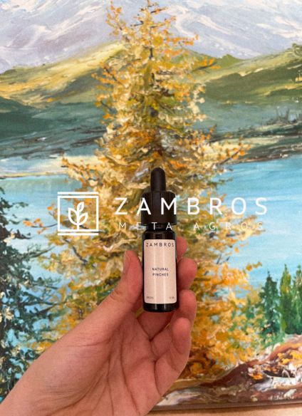 Olio di CBD (senza THC) a Monza e nella provincia di Milano con Zambros